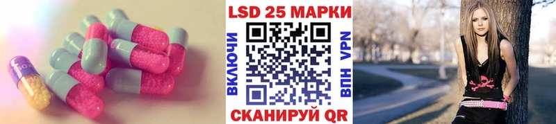 блэк спрут как зайти  Кировск  ЛСД экстази кислота 