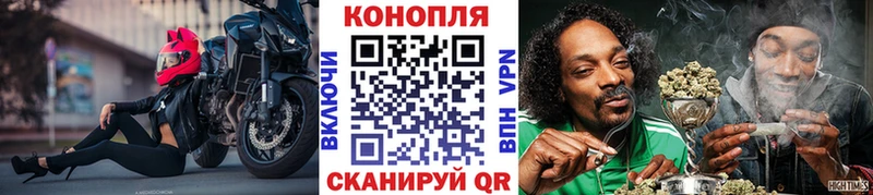 закладка  Кировск  Конопля индика 